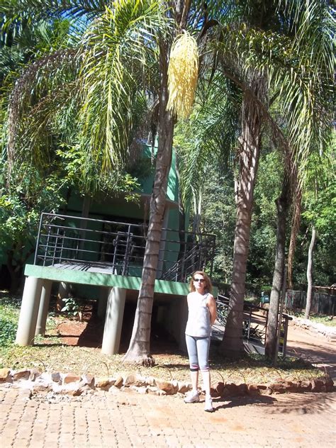 Arte Educação O Bosque de Ribeirão Preto S P