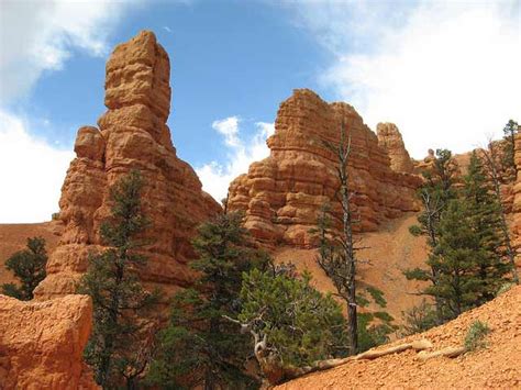 Red Canyon Utah | Red Canyon Dixie National Forest