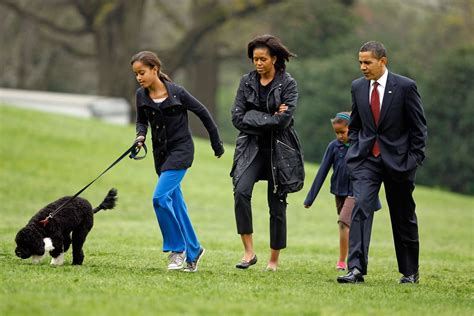 Barack and Michelle Obama's Statement After Dog Bo's Death | POPSUGAR Pets