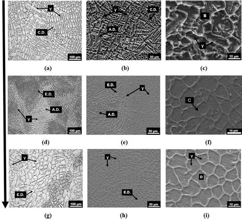 Om And Sem Adjusted Micrographs Of The L Stainless Steel Rapid