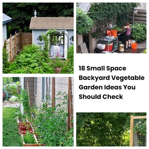 18 Small Space Backyard Vegetable Garden Ideas You Should Check