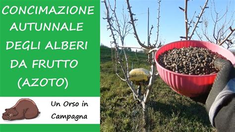 Concimazione Autunnale Delle Piante Da Frutto YouTube