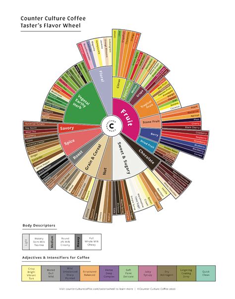 Coffee Flavor Wheel Pdf