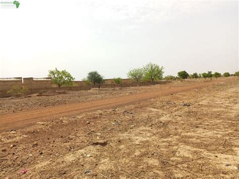 Terrains Parcelles Un Terrain D Une Superficie De Hectares En