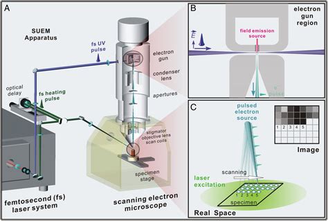 Scanning Ultrafast Electron Microscopy PNAS