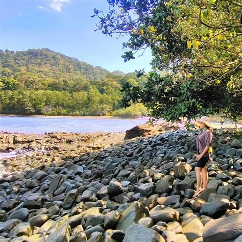 Melihat Aneka Satwa Yang Hampir Punah Di Taman Nasional Meru Betiri