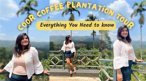 Coffee Plantation Tour In Coorg Everything You Need To Know Best