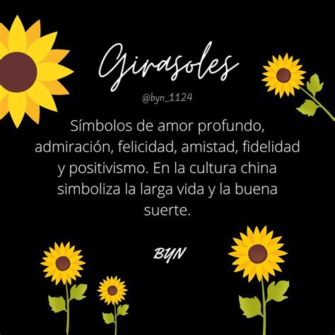 Significado De Los Girasoles