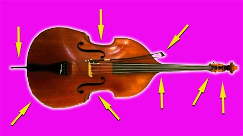 Double Bass Parts Explained Youtube