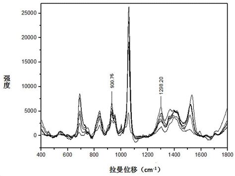 一种基于纳米银胶表面拉曼增强检测酮康唑的方法与流程