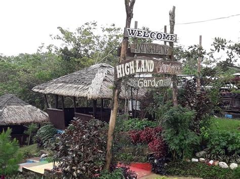 Aningalan Strawberry Farm San Remigio All You Need To Know Before