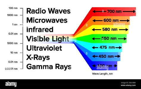 Electromagnetic Spectrum Information Gamma Rays Scheme Vector Stock ...