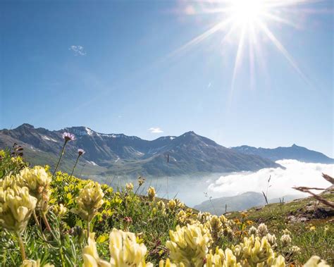 Le Parc National De La Vanoise Aussois Haute Maurienne Vanoise