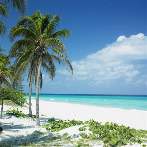 Varadero, Cuba stock photo. Image of latin, quietness - 21982232
