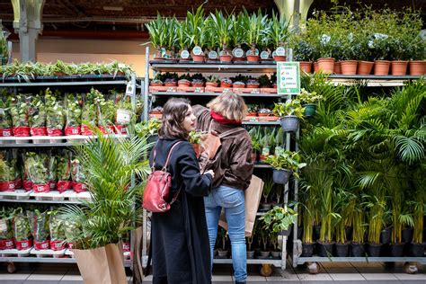 Bon Plan Toulouse Encore Une Grande Vente De Plantes D S Euros