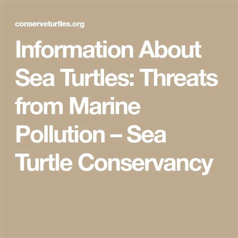 Information About Sea Turtles Threats From Marine Pollution Sea Turtle Conservancy Marine