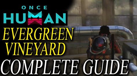 Once Human Evergreen Vineyard Gear Weapon Mysterious Treasure