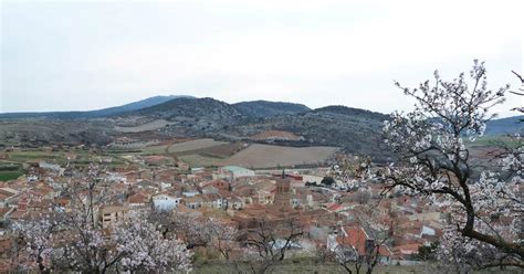 D Nde Ver Almendros En Flor En Arag N Los Mejores Lugares De Zaragoza