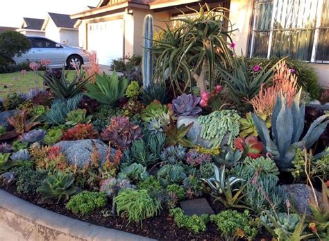 90 Idées Daménagement Paysager Succulent Landscape Design Succulent Garden Landscape Rock