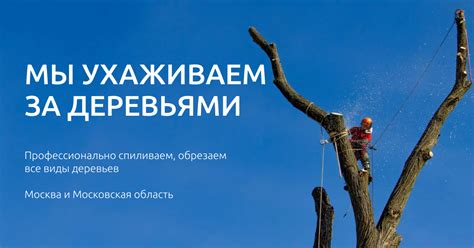 Арборист