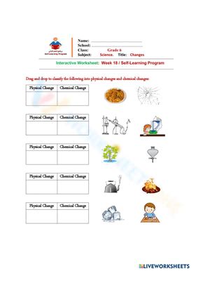 Free Printable Physical And Chemical Changes Worksheets