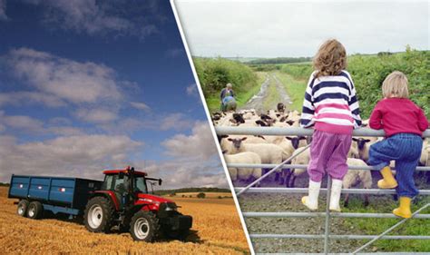 UK farming set for post-Brexit boost as Britain escapes EU's Common ...