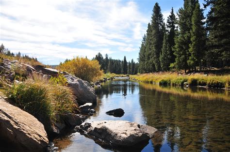 The Little Lens Travel Blog: Big Horn National Forest to Yellowstone