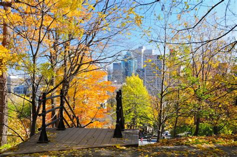 Parque Mont Royal Qué hacer ubicación y cómo llegar