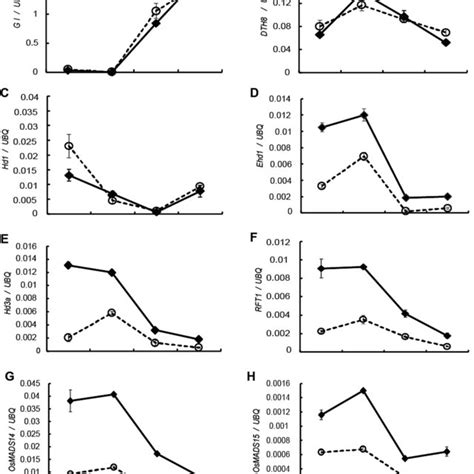 EH7 DTH8 And Hd1 Form A Complex In Pull Down Assay In Vitro Pull Down