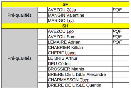 Championnat départemental de difficulté Site Officiel de l ESM Escalade