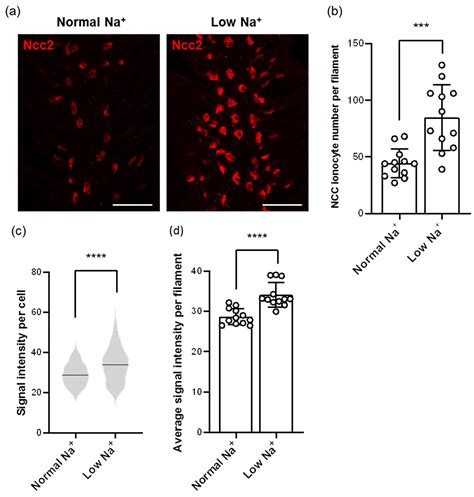 Ijms Free Full Text Molecular Physiological Evidence For The Role