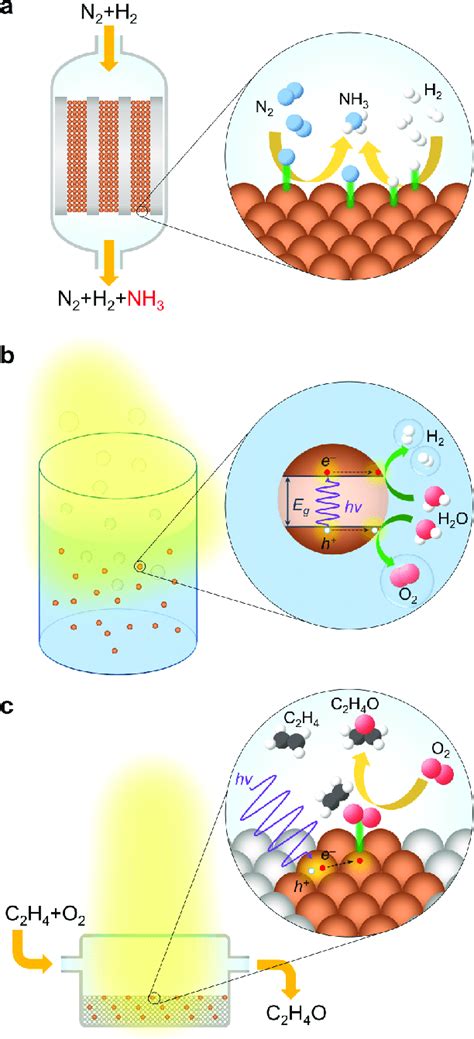 Schematic Illustration Of Representative Catalytic Processes A Download Scientific Diagram