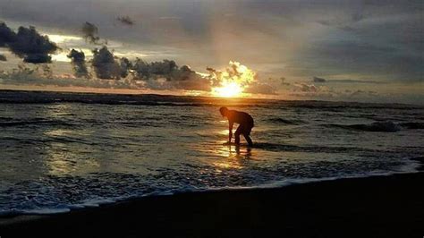 Keindahan Tersembunyi Di Pantai Cangkring Yogyakarta Regional