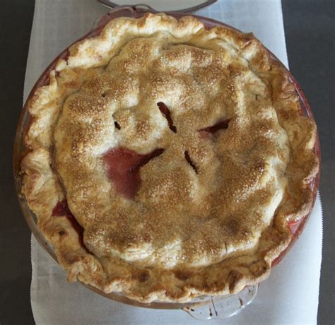 Savory Pie Crust Recipe Great for Pot Pies and Fruit Pies | Culinary ...