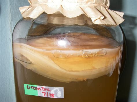 Kombucha Girl