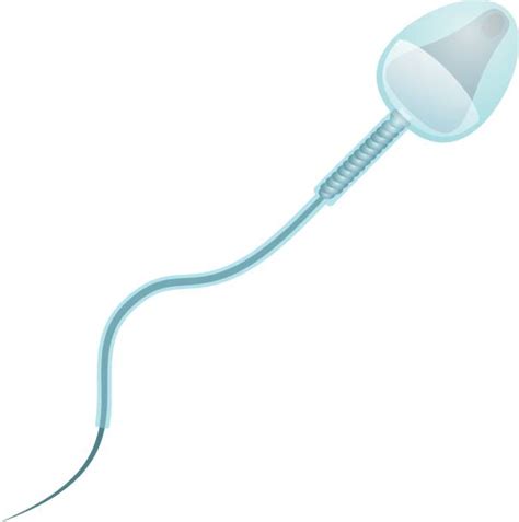 180+ Spermatozoid Stock Illustrations, Royalty-Free Vector Graphics ...