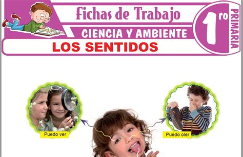 El Aire Para Niños Para Primero De Primaria Fichas De Trabajo