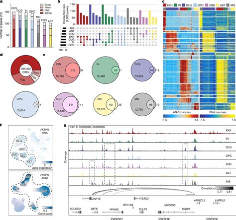 Scientists find cellular brain changes tied to PTSD – Lifeboat News