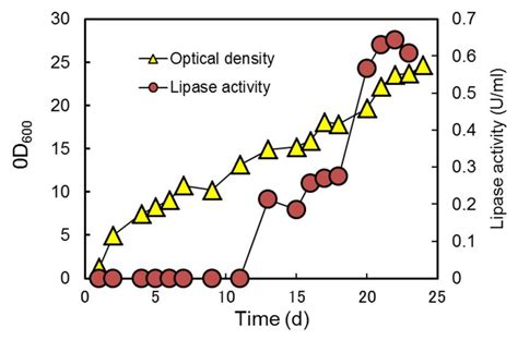 Time Course Of Cell Growth And Lipase Production In Lipase Production Download Scientific