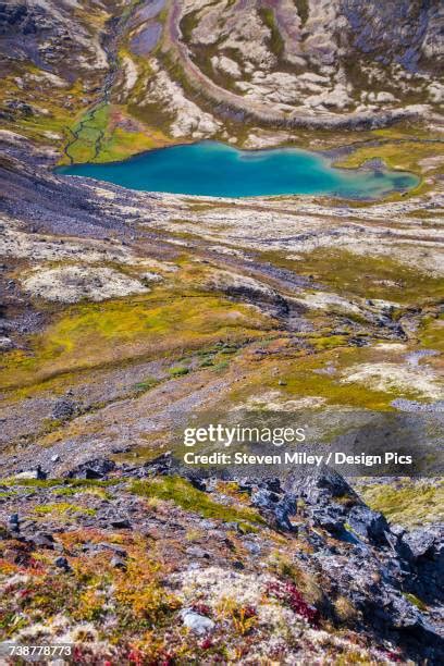 150 Kenai Lake Alaska Stock Photos, High-Res Pictures, and Images ...