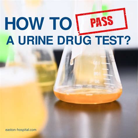 What To Use To Pass A Drug Test Recovery Ranger