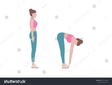 Woman Stand Hamstring Stretch Toe Over 3 Royalty Free Licensable Stock Vectors And Vector Art