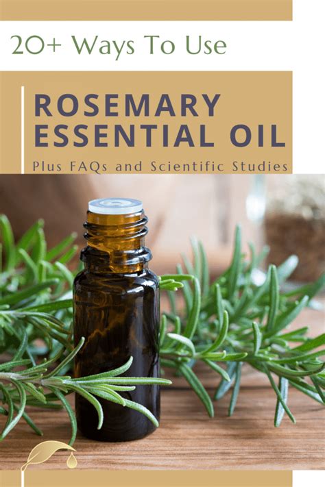 Ultimate Guide To Rosemary Essential Oil And 20 Uses