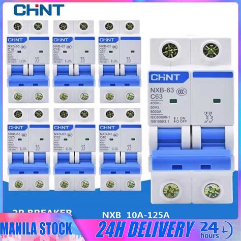 CHINT Electric Circuit Breaker NXB C63 2P Factory Direct Sales