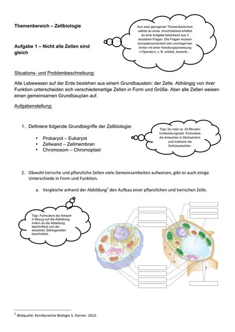 Themenbereich Zellbiologie Aufgabe 1 Nicht Alle Zellen Sind