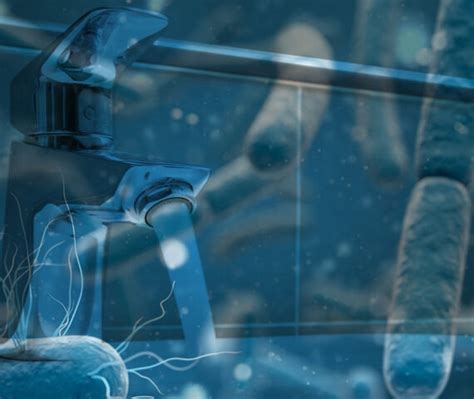 Normativa acqua potabile e novità sul tema Legionella Legionella it