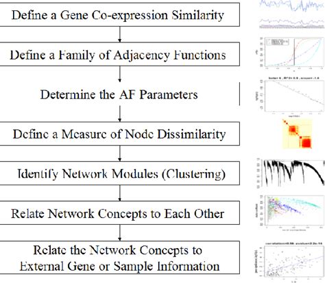 Figure 1 From A General Framework For Weighted Gene Co Expression