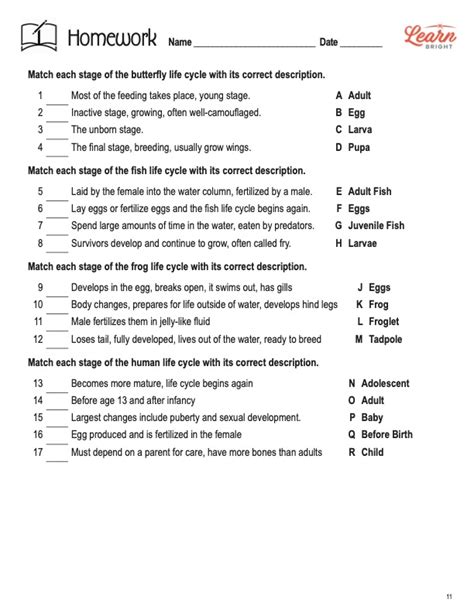 Animal Life Cycles Worksheets Library