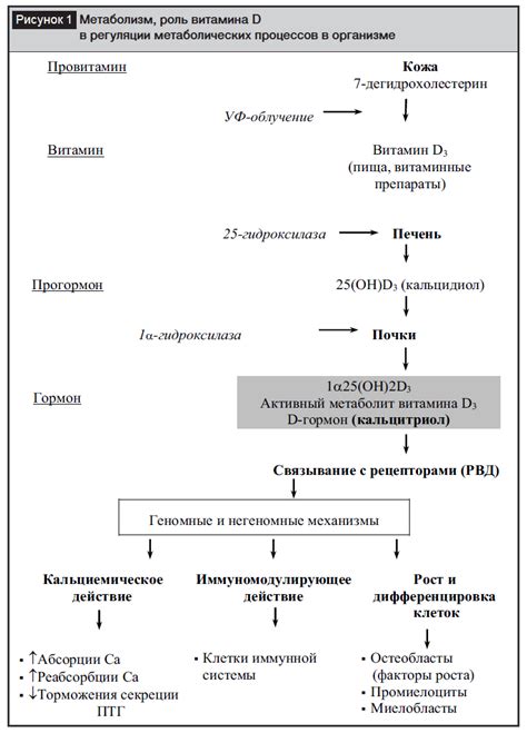 Современные подходы к профилактике и лечению дефицита витамина D