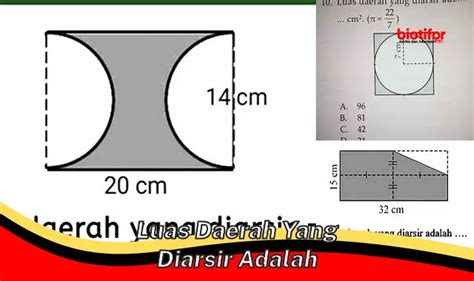 Rahasia Menghitung Luas Daerah Yang Diarsir Panduan Lengkap Biotifor